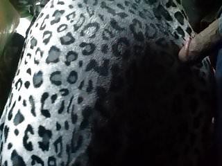 Die Schlampe macht es mit dem Schwanz